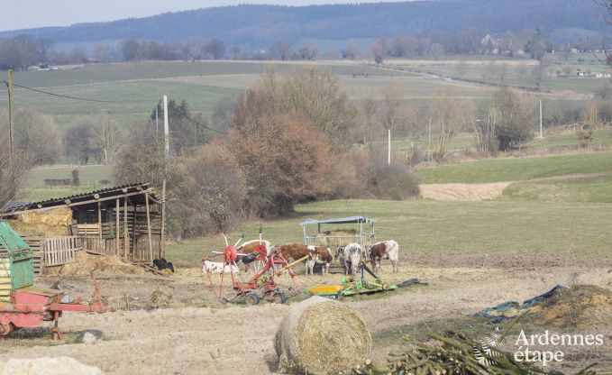 Vacances à la ferme à Plombières pour 4/5 personnes en Ardenne
