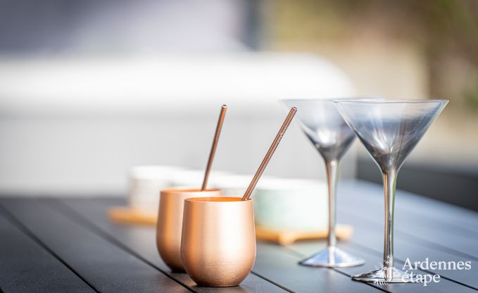 Maison de vacances de luxe  Plombires : villa pour 6 personnes avec jacuzzi, 3 chambres et jardin priv