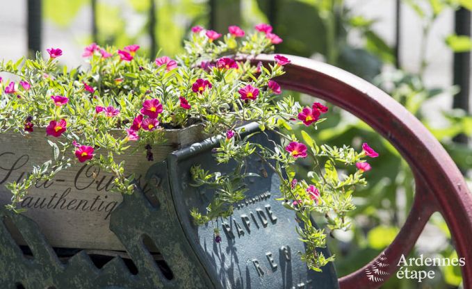 Maison de vacances  Porcheresse (Daverdisse) pour 2 personnes en Ardenne