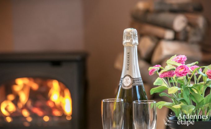 Maison de vacances  Porcheresse (Daverdisse) pour 2 personnes en Ardenne