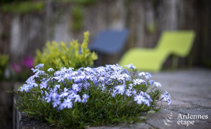 Gite haut de gamme  Profondeville pour 5 personnes en Ardenne