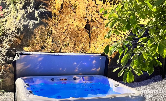Exceptionnelle maison de charme  Profondeville pour 4 personnes avec jacuzzi, cabine infrarouge et ponton sur la Meuse