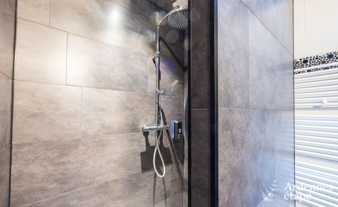 Maison de standing avec wellness extrieur et jeux au cur de la Valle de la Meuse  Profondeville