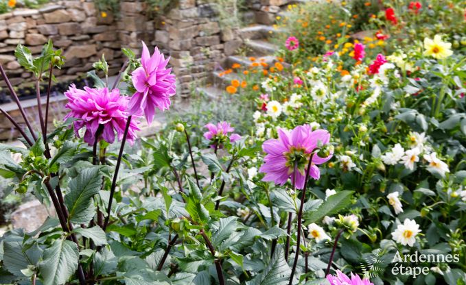 Maison de vacances  Redu pour 12 personnes en Ardenne