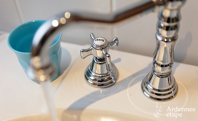 Maison de vacances  Redu pour 12 personnes en Ardenne