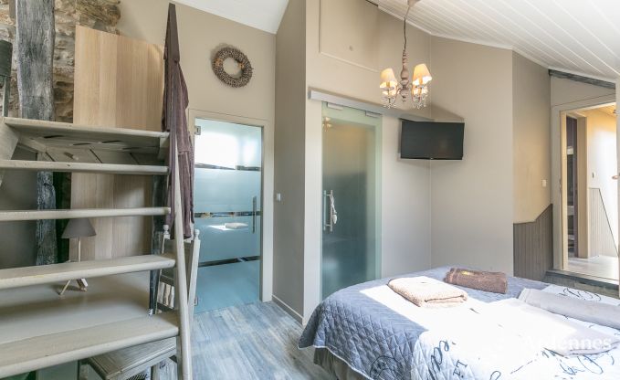 Villa haut de gamme  Redu, Ardenne, 9 personnes, piscine extrieure, sauna, hammam, jacuzzi intrieur et extrieur, jardin priv, quipements complets