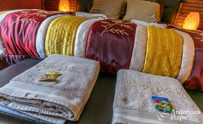 Villa haut de gamme  Redu, Ardenne, 9 personnes, piscine extrieure, sauna, hammam, jacuzzi intrieur et extrieur, jardin priv, quipements complets