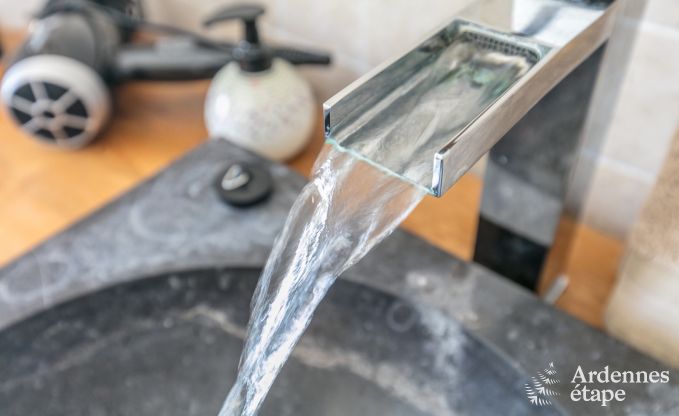 Villa haut de gamme  Redu, Ardenne, 9 personnes, piscine extrieure, sauna, hammam, jacuzzi intrieur et extrieur, jardin priv, quipements complets