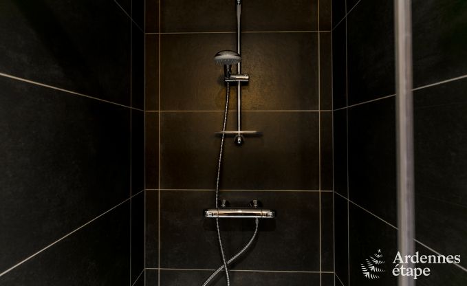 Maison de vacances  Redu pour 14 personnes en Ardenne