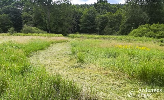 Maison de vacances  Redu pour 14 personnes en Ardenne