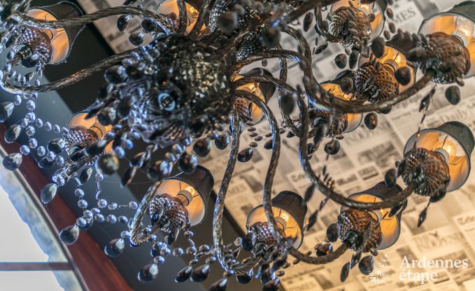 Villa haut de gamme  Redu, Ardenne, 9 personnes, piscine extrieure, sauna, hammam, jacuzzi intrieur et extrieur, jardin priv, quipements complets