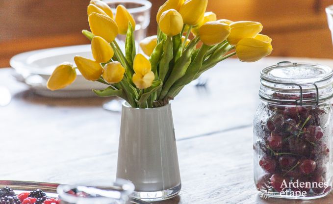 Maison chien admis pour 10 personnes  Rendeux