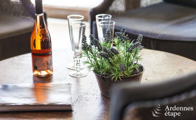 Maison chien admis pour 10 personnes  Rendeux