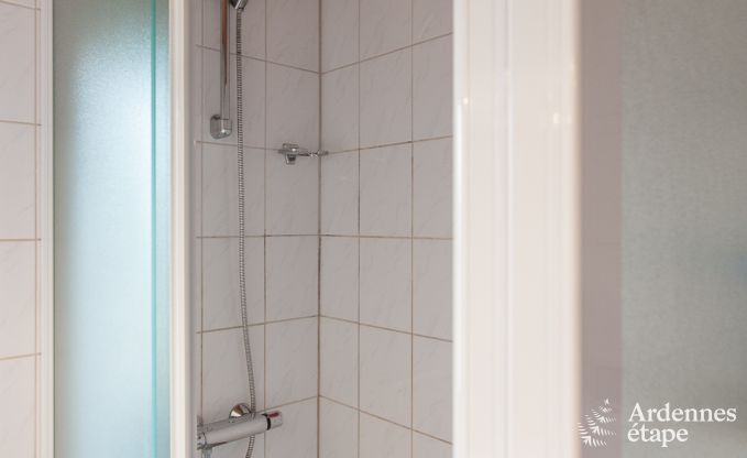 Maison chien admis pour 10 personnes  Rendeux