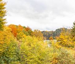 Appartement à Robertville pour 4 personnes en Ardenne