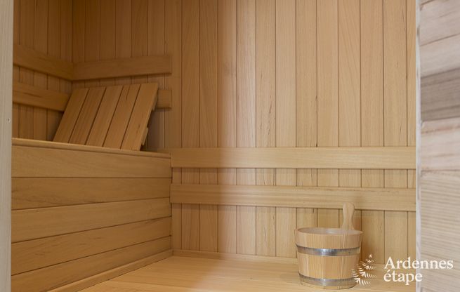 Vaste gîte de vacances grande capacité avec sauna à louer à Rochefort