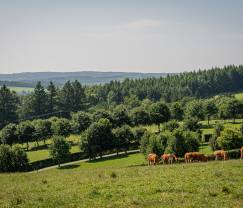 Nid douillet pour 2 personnes à Rochehaut avec terrasse et magnifique vue
