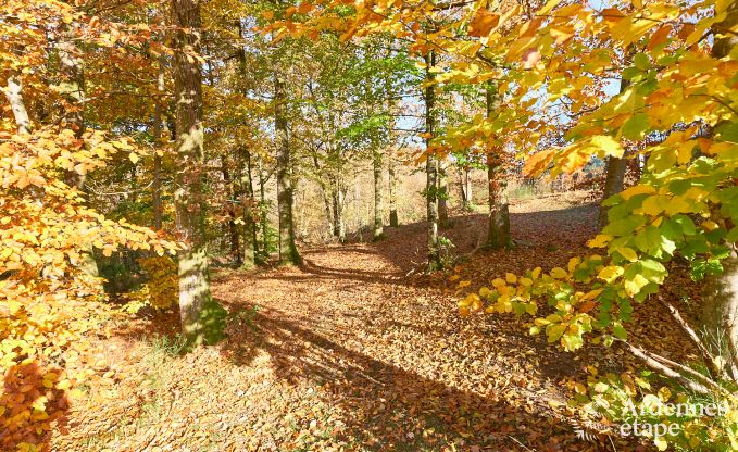 Moderne maison de vacances  Rochehaut en Ardenne