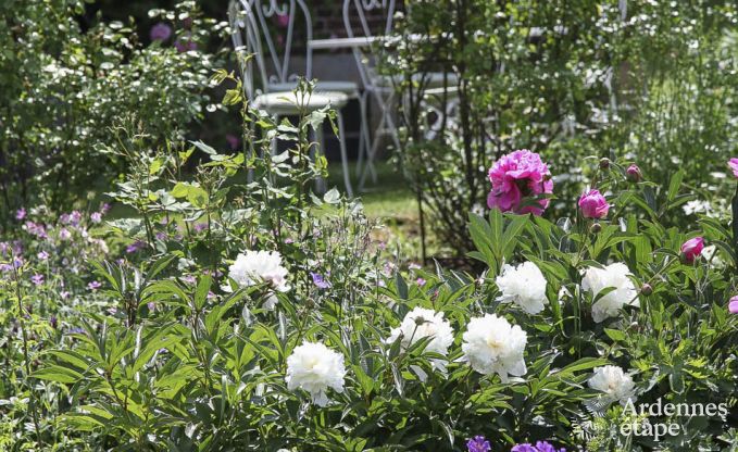 Maison de vacances  Saint-Hubert : havre de paix pour 7 personnes en Ardenne avec jardin priv et quipements familiaux