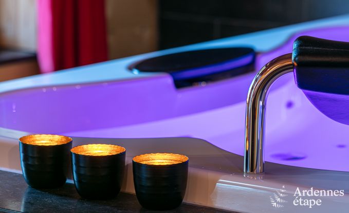 Chalet � Saint-Hubert pour 2 personnes en Ardenne