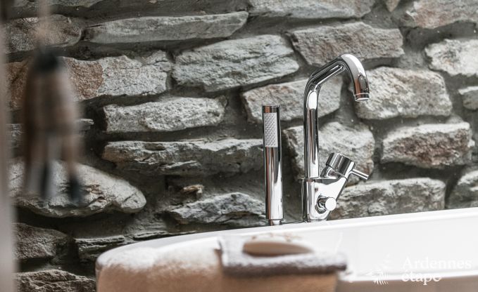 Sjour de luxe en Ardenne: Villa haut de gamme  Saint-Hubert pour 6 personnes avec piscine et proximit nature