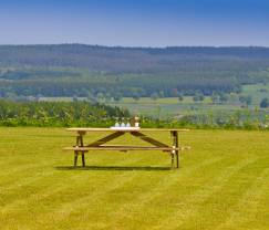 Villa de Luxe à Saint-Hubert pour 29 personnes en Ardenne