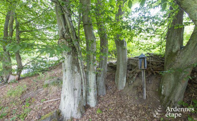 Villa de Luxe  Saint- Hubert pour 18/20 personnes en Ardenne