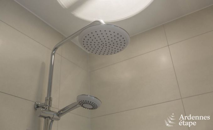 Villa de Luxe  Saint- Hubert pour 18/20 personnes en Ardenne