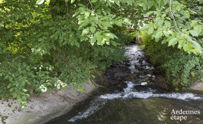Villa de Luxe  Saint- Hubert pour 18/20 personnes en Ardenne