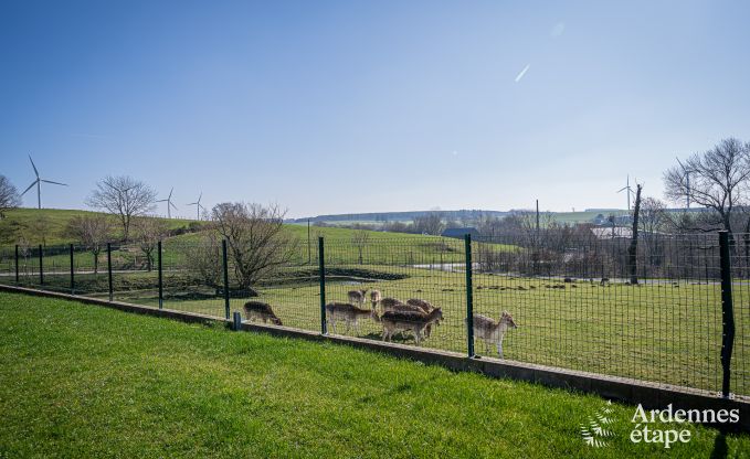 Maison de vacances luxueuse et chien admis avec piscine  Sainte-Ode, Ardenne