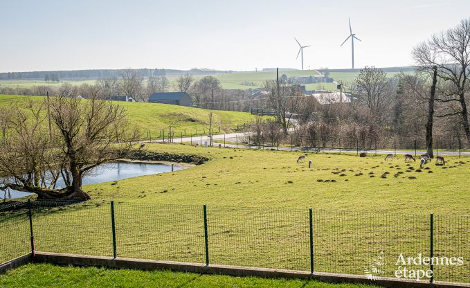 Maison de vacances conviviale avec piscine  Sainte-Ode, Ardenne