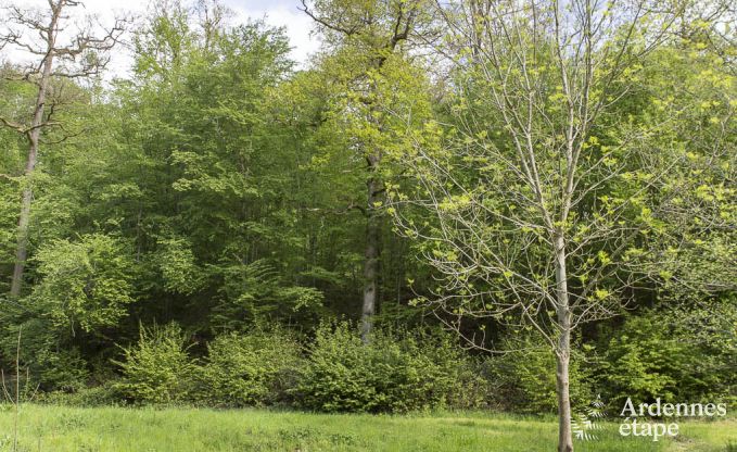 Maison de vacances � Sivry-Rance pour 14 personnes en Ardenne