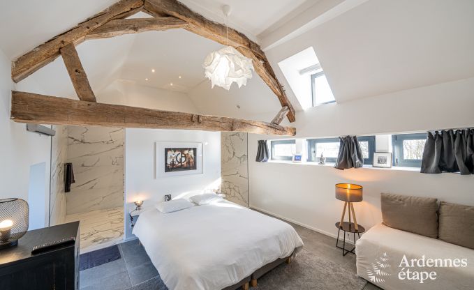 Ch�teau unique � Soiron : s�jour de luxe pour 14 personnes avec jardin priv�, salle de jeux et 5 chambres et � proximit� de Verviers