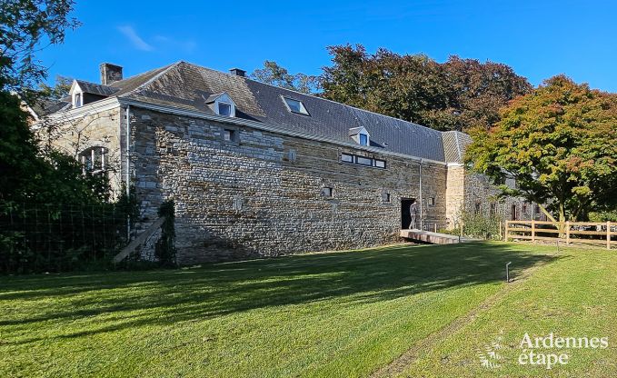 Ch�teau unique � Soiron : s�jour de luxe pour 14 personnes avec jardin priv�, salle de jeux et 5 chambres et � proximit� de Verviers