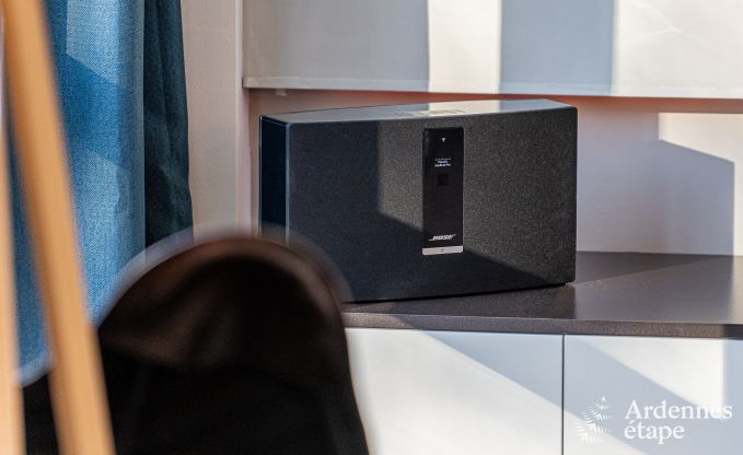 Ch�teau unique � Soiron : s�jour de luxe pour 14 personnes avec jardin priv�, salle de jeux et 5 chambres et � proximit� de Verviers