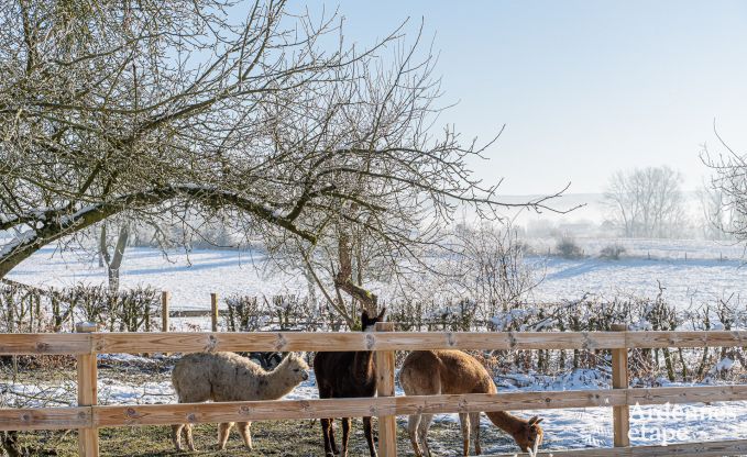 Ch�teau unique � Soiron : s�jour de luxe pour 14 personnes avec jardin priv�, salle de jeux et 5 chambres et � proximit� de Verviers