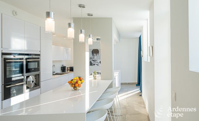 Ch�teau unique � Soiron : s�jour de luxe pour 14 personnes avec jardin priv�, salle de jeux et 5 chambres et � proximit� de Verviers