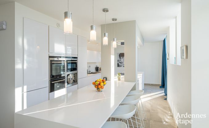 Ch�teau unique � Soiron : s�jour de luxe pour 14 personnes avec jardin priv�, salle de jeux et 5 chambres et � proximit� de Verviers