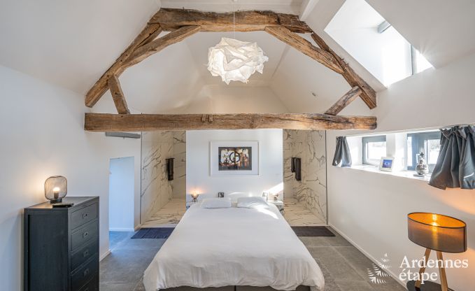 Ch�teau unique � Soiron : s�jour de luxe pour 14 personnes avec jardin priv�, salle de jeux et 5 chambres et � proximit� de Verviers