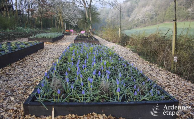 Maison contemporaine � Somme - Leuze pour 8 personnes en Ardenne