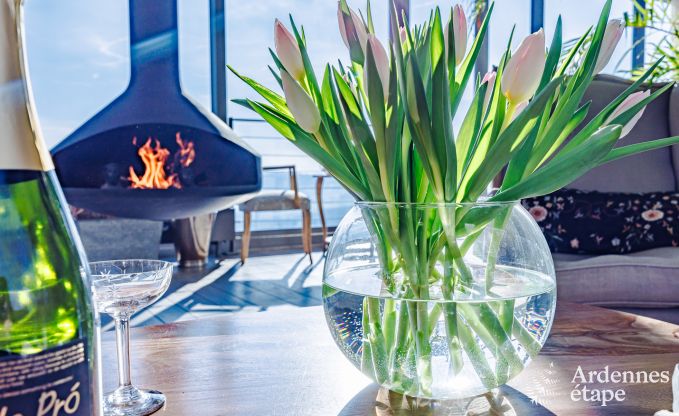 Maison contemporaine � Somme - Leuze pour 8 personnes en Ardenne