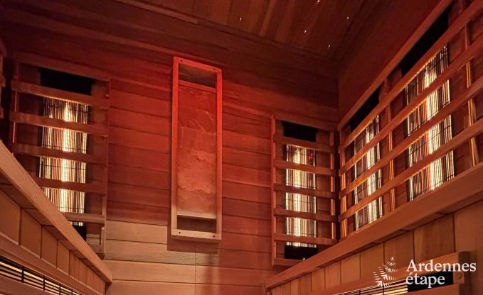 Villa ultramoderne  Somme-Leuze pour 12 personnes avec piscine intrieure, sauna et jardin priv