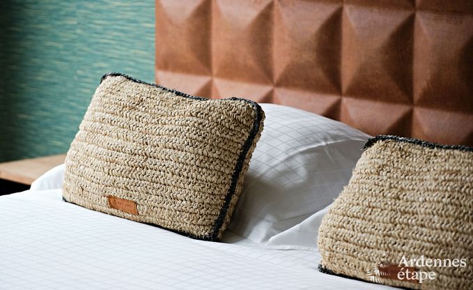 Villa ultramoderne  Somme-Leuze pour 12 personnes avec piscine intrieure, sauna et jardin priv