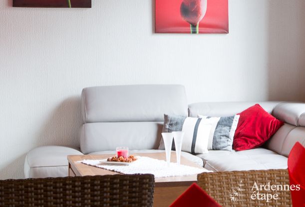 Ludogte pour 12 personnes  Sourbrodt en Ardenne