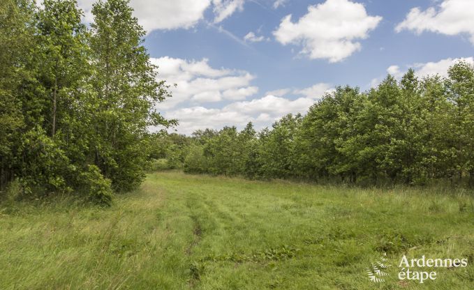 Chalet  Sourbrodt pour 12 personnes dans les Hautes Fagnes