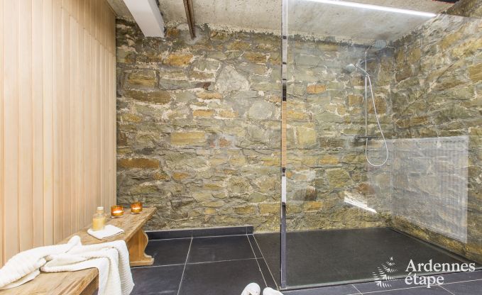 Ch�teau � Spa pour 30 personnes en Ardenne