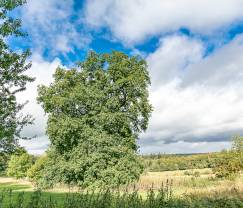 Gite de charme à Spa pour 14 personnes en Ardenne