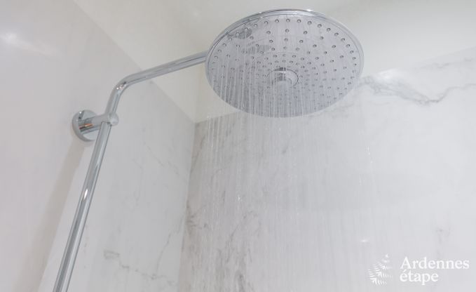 Spacieuse cottage pour 8 personnes  Spa avec sauna, jacuzzi, 4 chambres et salles de bains et jardin priv