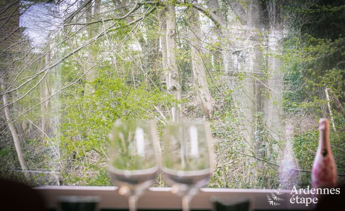 Spacieuse cottage pour 8 personnes  Spa avec sauna, jacuzzi, 4 chambres et salles de bains et jardin priv