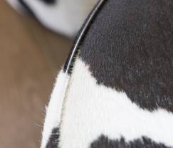 Maison de vacances à Spa pour 9 personnes en Ardenne